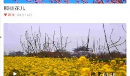 隆尧爆料最新新闻,揭秘事件背后真相